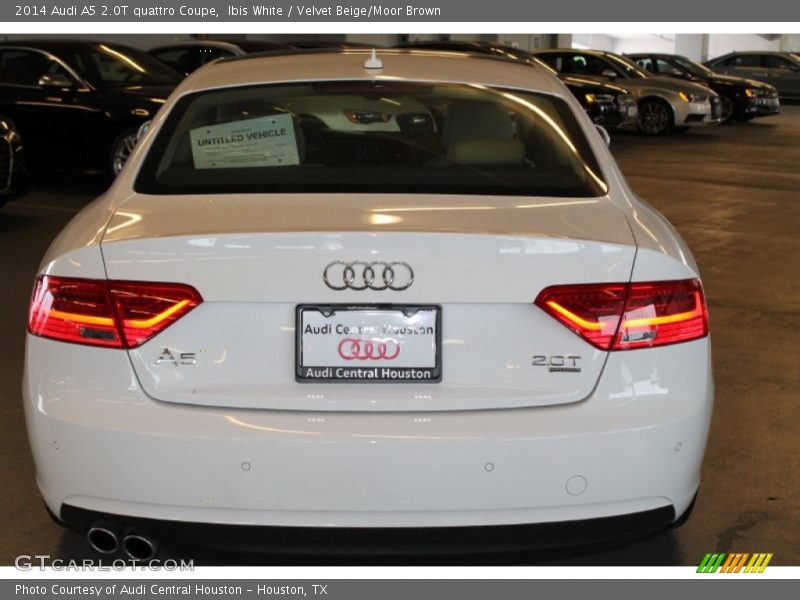 Ibis White / Velvet Beige/Moor Brown 2014 Audi A5 2.0T quattro Coupe