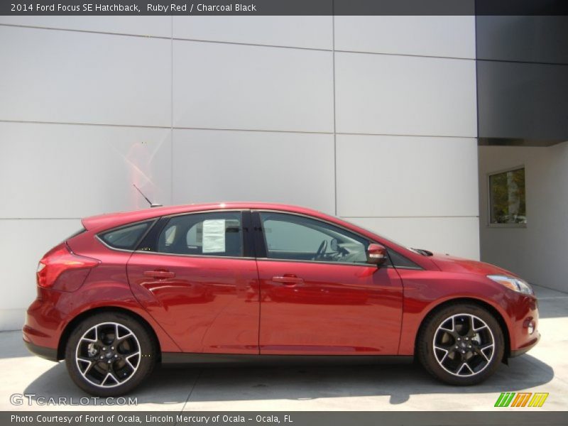 Ruby Red / Charcoal Black 2014 Ford Focus SE Hatchback