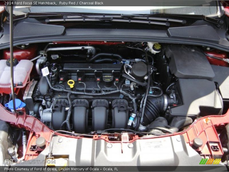 Ruby Red / Charcoal Black 2014 Ford Focus SE Hatchback