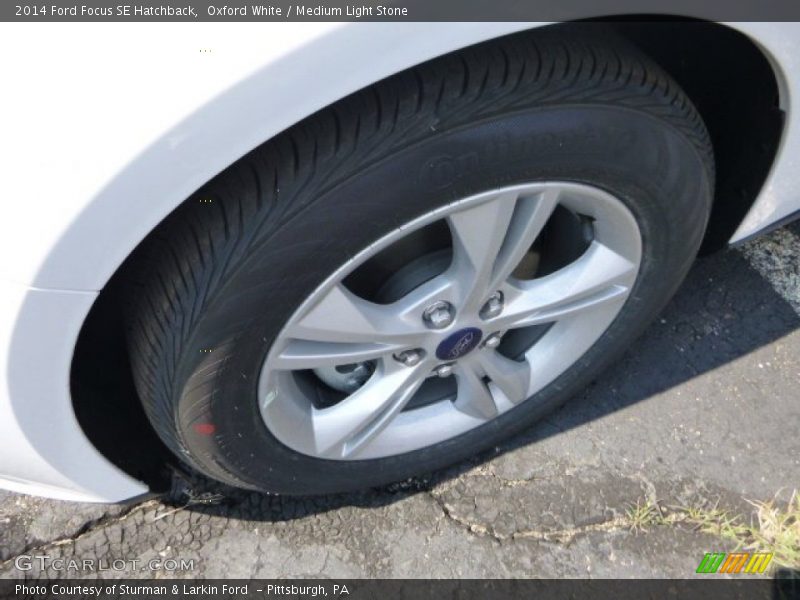 Oxford White / Medium Light Stone 2014 Ford Focus SE Hatchback