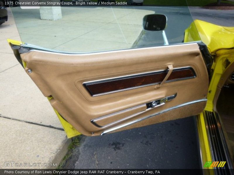 Door Panel of 1975 Corvette Stingray Coupe