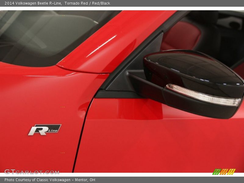  2014 Beetle R-Line Logo