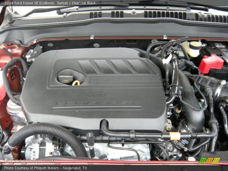 Sunset / Charcoal Black 2014 Ford Fusion SE EcoBoost