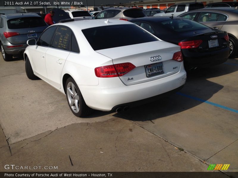 Ibis White / Black 2011 Audi A4 2.0T Sedan