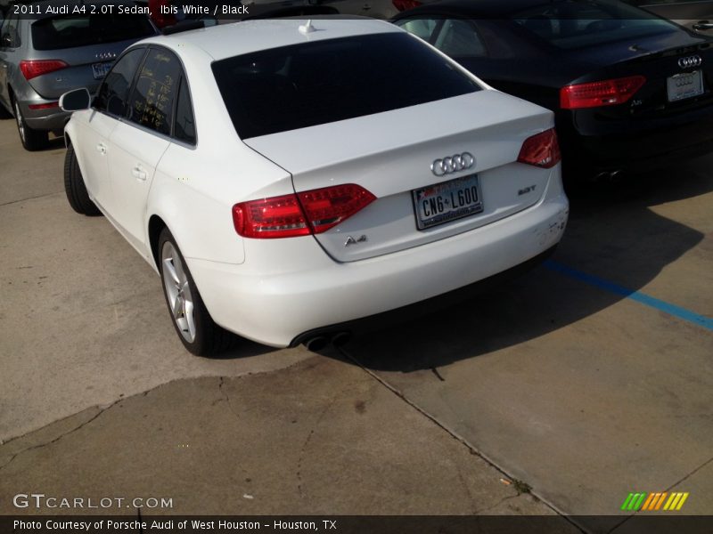Ibis White / Black 2011 Audi A4 2.0T Sedan