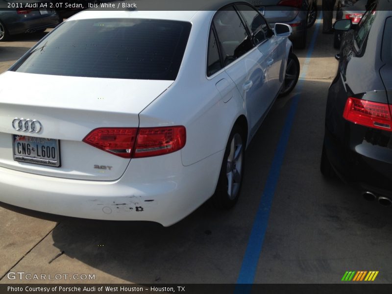 Ibis White / Black 2011 Audi A4 2.0T Sedan