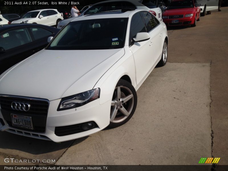 Ibis White / Black 2011 Audi A4 2.0T Sedan