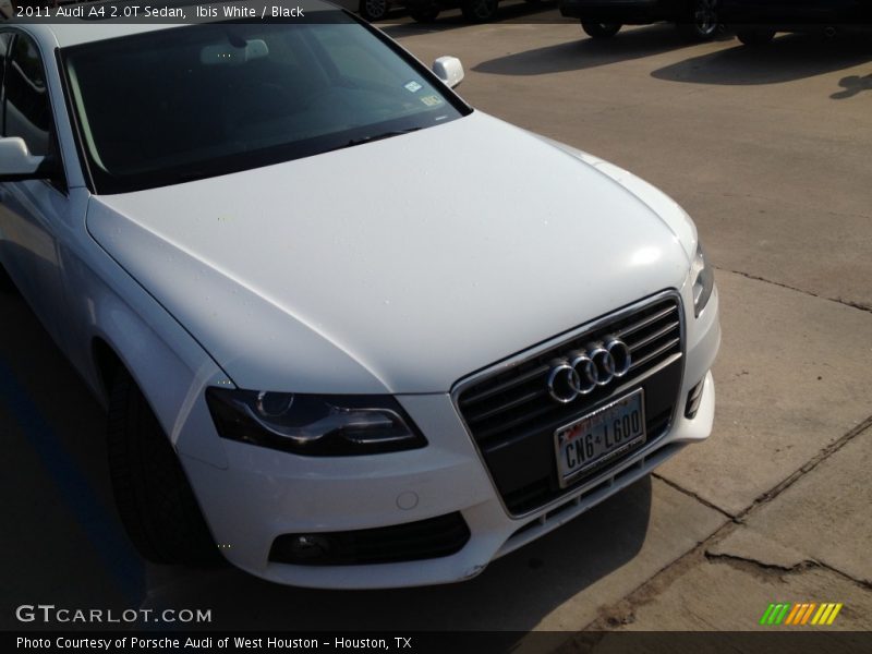 Ibis White / Black 2011 Audi A4 2.0T Sedan