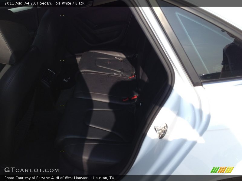 Ibis White / Black 2011 Audi A4 2.0T Sedan