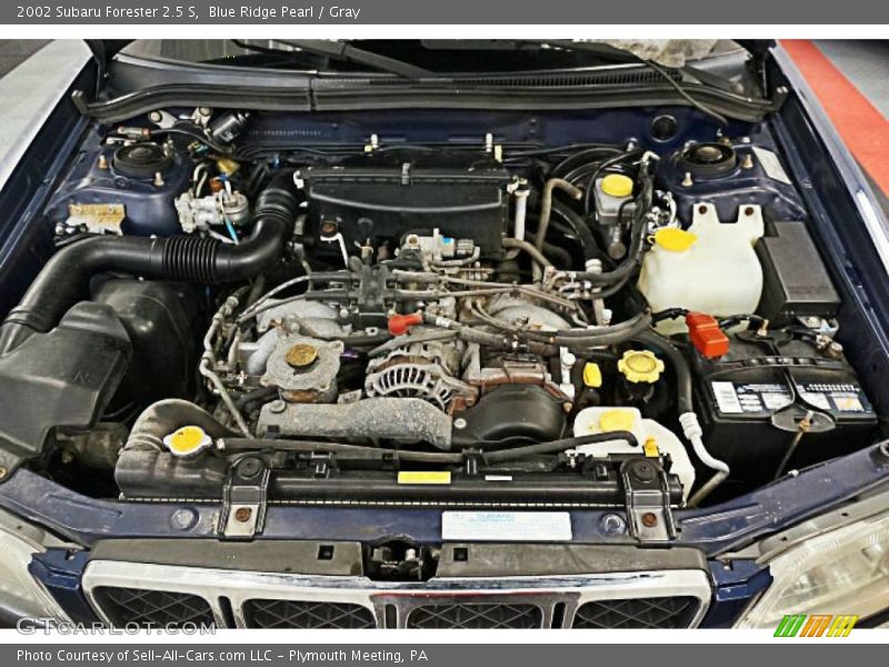 Blue Ridge Pearl / Gray 2002 Subaru Forester 2.5 S