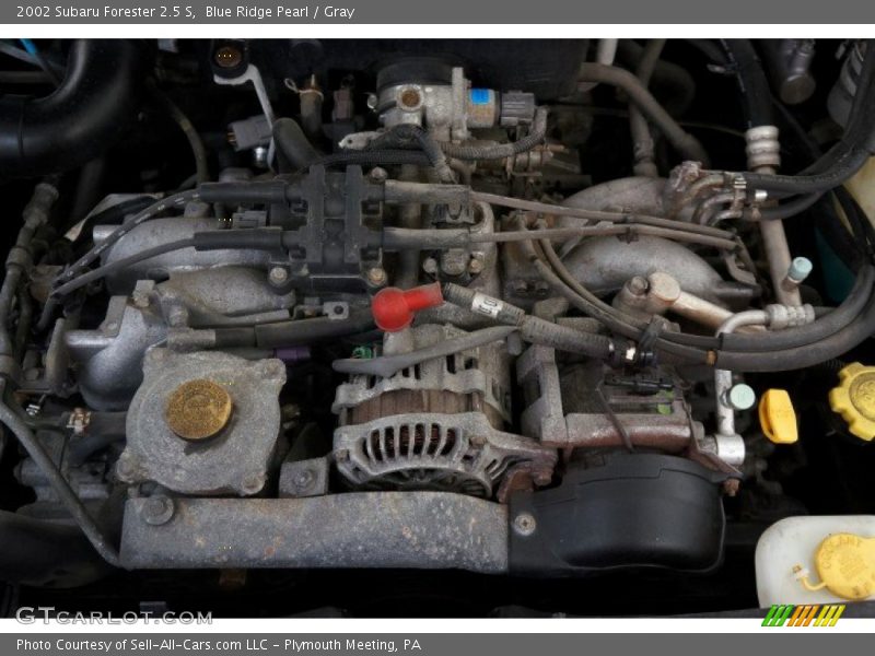 Blue Ridge Pearl / Gray 2002 Subaru Forester 2.5 S