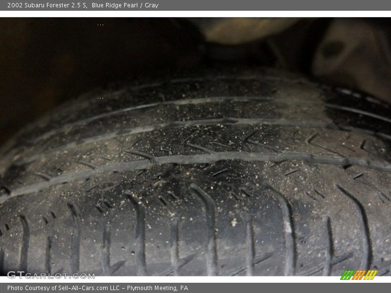 Blue Ridge Pearl / Gray 2002 Subaru Forester 2.5 S