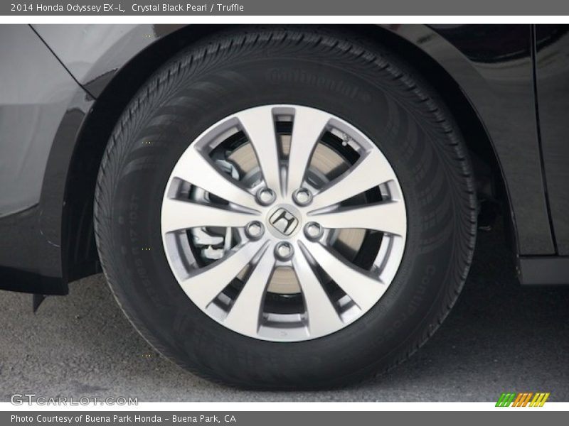 Crystal Black Pearl / Truffle 2014 Honda Odyssey EX-L