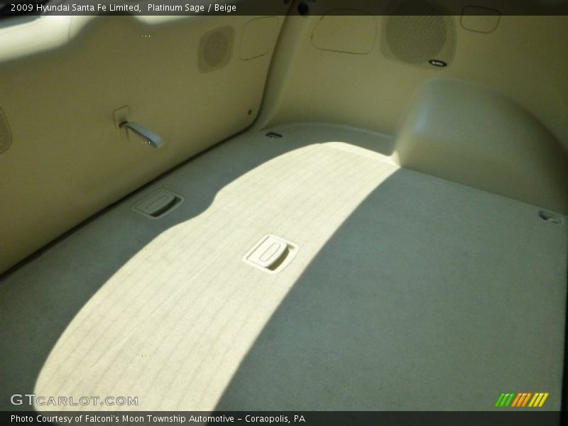 Platinum Sage / Beige 2009 Hyundai Santa Fe Limited