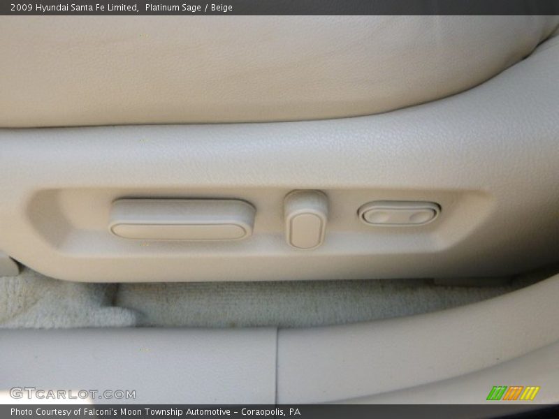 Platinum Sage / Beige 2009 Hyundai Santa Fe Limited