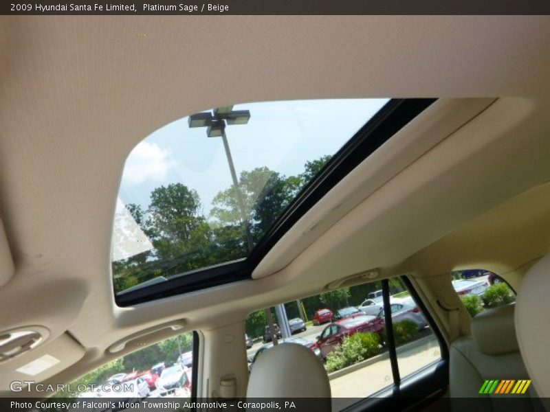 Platinum Sage / Beige 2009 Hyundai Santa Fe Limited