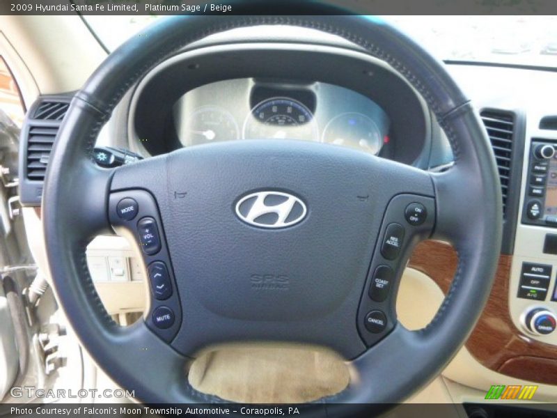 Platinum Sage / Beige 2009 Hyundai Santa Fe Limited