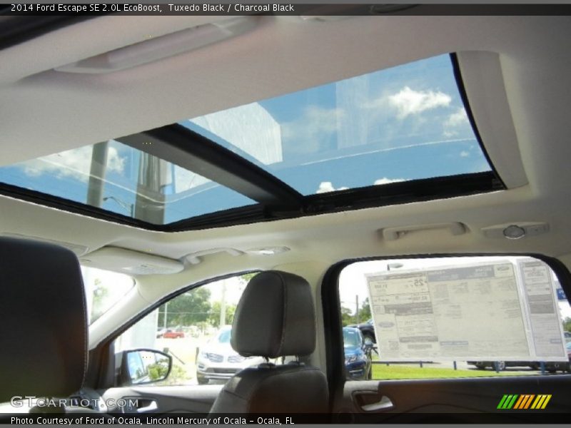 Tuxedo Black / Charcoal Black 2014 Ford Escape SE 2.0L EcoBoost