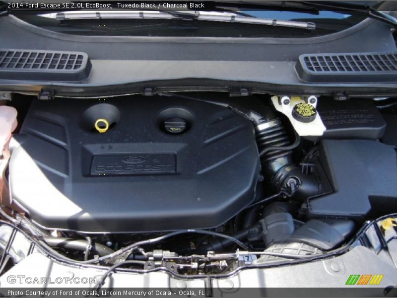 Tuxedo Black / Charcoal Black 2014 Ford Escape SE 2.0L EcoBoost