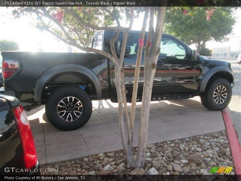 Tuxedo Black / Raptor Black 2014 Ford F150 SVT Raptor SuperCrew 4x4