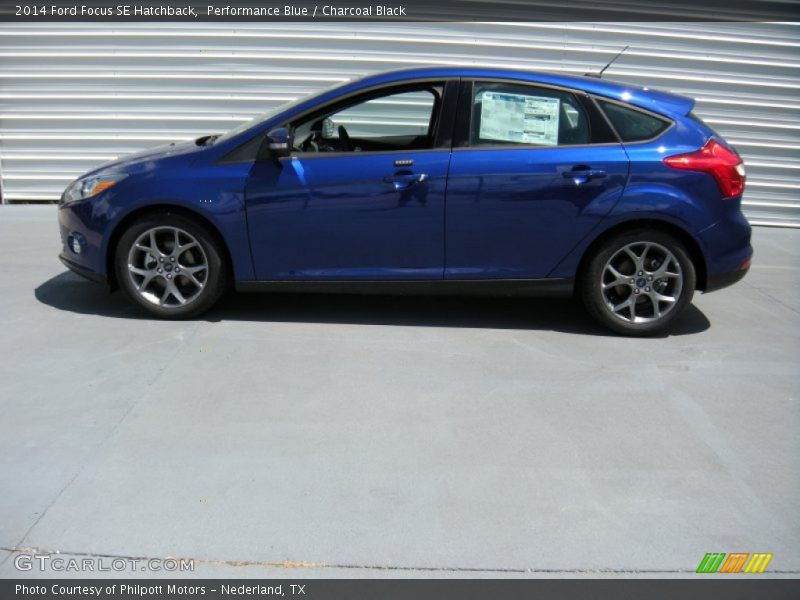 Performance Blue / Charcoal Black 2014 Ford Focus SE Hatchback