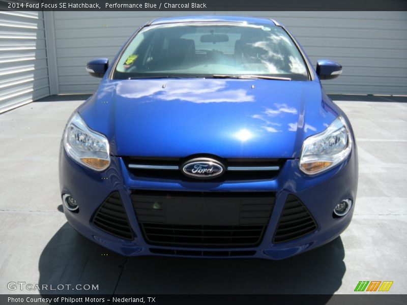 Performance Blue / Charcoal Black 2014 Ford Focus SE Hatchback