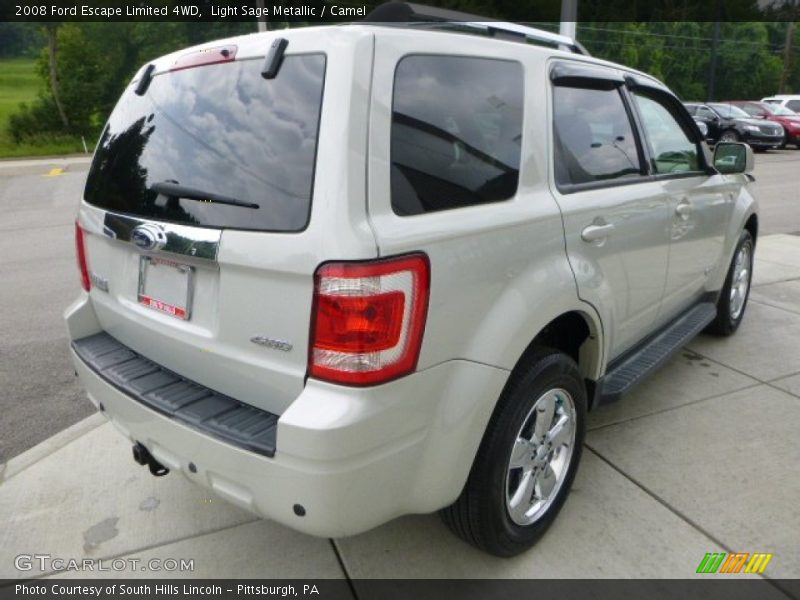 Light Sage Metallic / Camel 2008 Ford Escape Limited 4WD