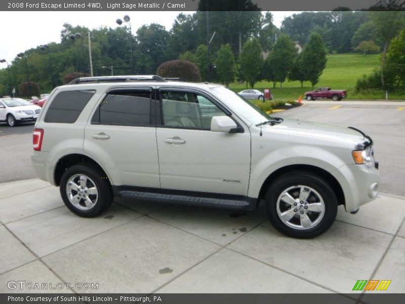 Light Sage Metallic / Camel 2008 Ford Escape Limited 4WD
