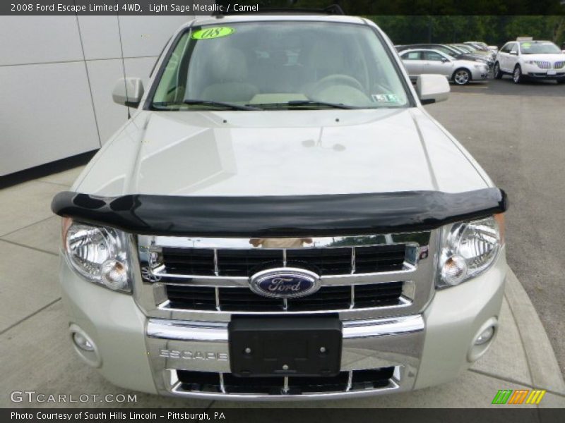 Light Sage Metallic / Camel 2008 Ford Escape Limited 4WD