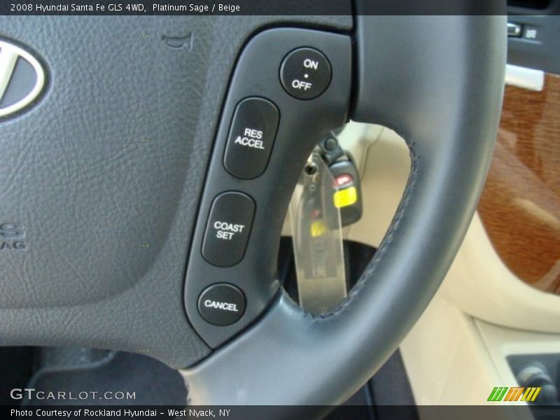 Platinum Sage / Beige 2008 Hyundai Santa Fe GLS 4WD