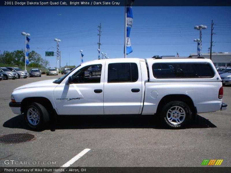 Bright White / Dark Slate Gray 2001 Dodge Dakota Sport Quad Cab