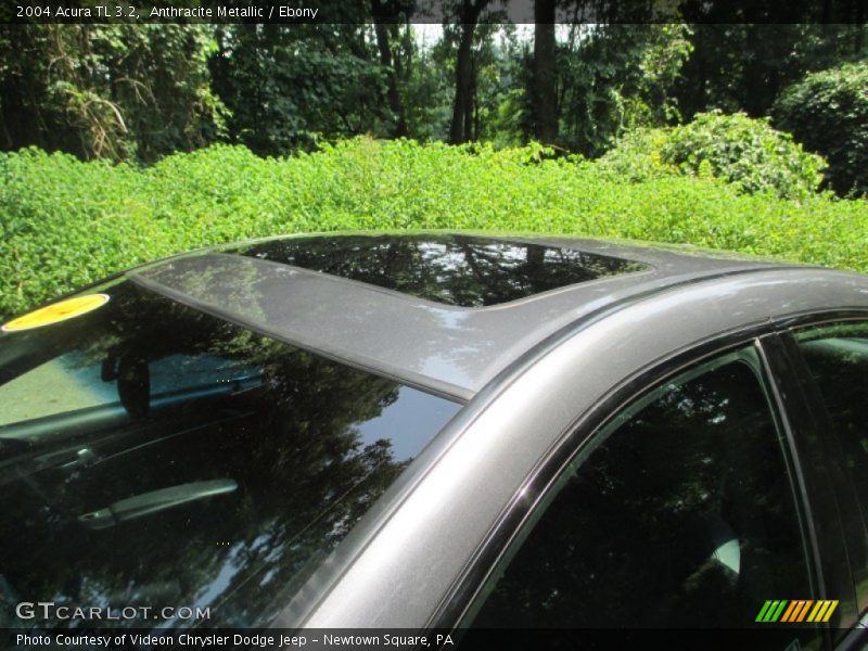 Anthracite Metallic / Ebony 2004 Acura TL 3.2