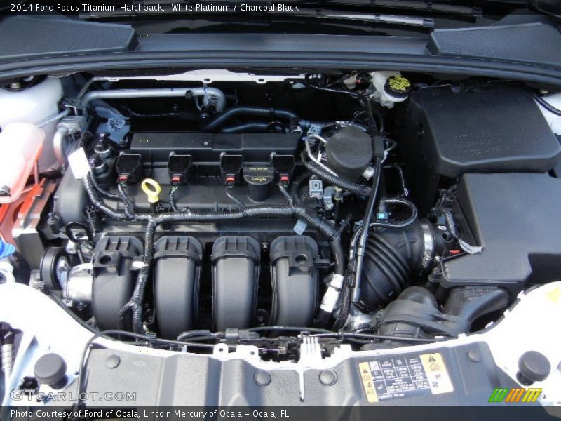 White Platinum / Charcoal Black 2014 Ford Focus Titanium Hatchback