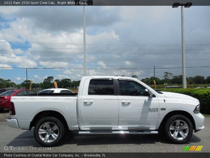 Bright White / Black 2013 Ram 1500 Sport Crew Cab