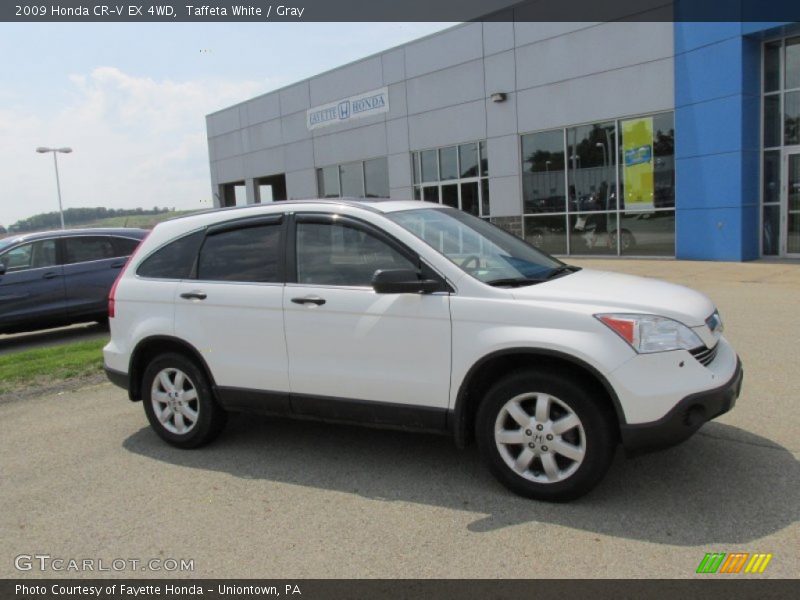 Taffeta White / Gray 2009 Honda CR-V EX 4WD