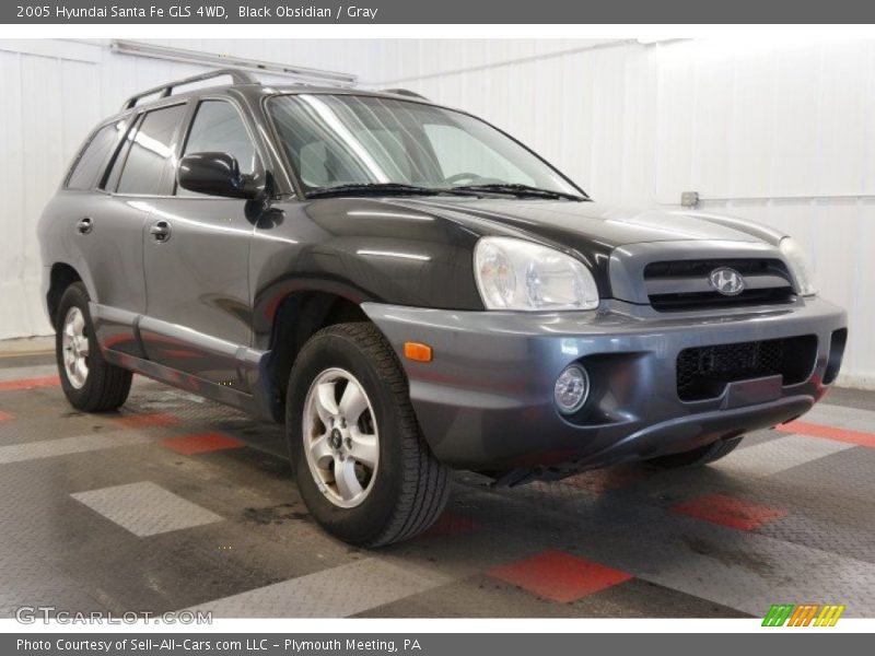 Black Obsidian / Gray 2005 Hyundai Santa Fe GLS 4WD