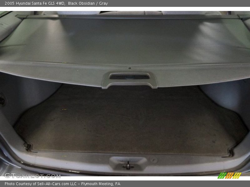 Black Obsidian / Gray 2005 Hyundai Santa Fe GLS 4WD
