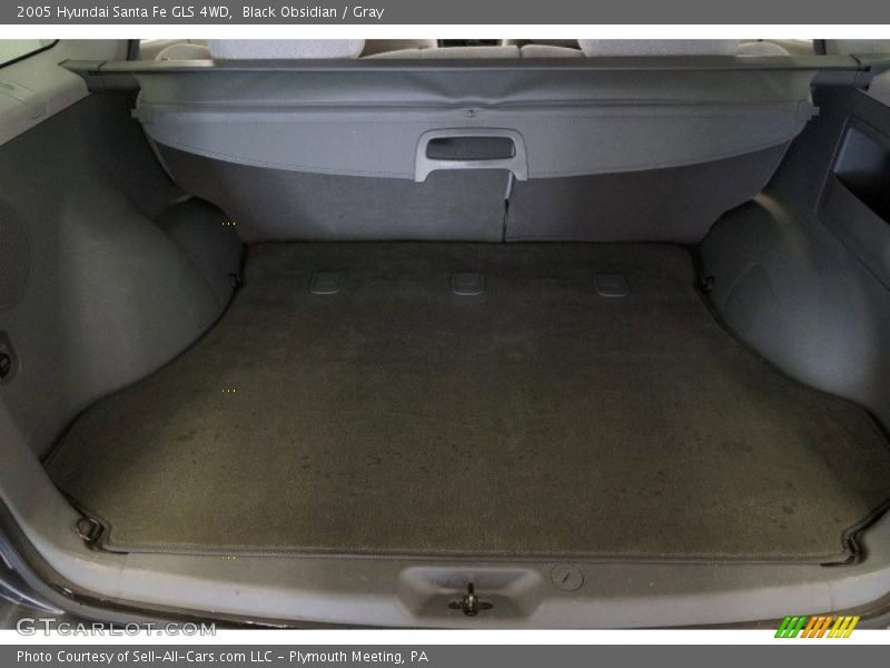 Black Obsidian / Gray 2005 Hyundai Santa Fe GLS 4WD
