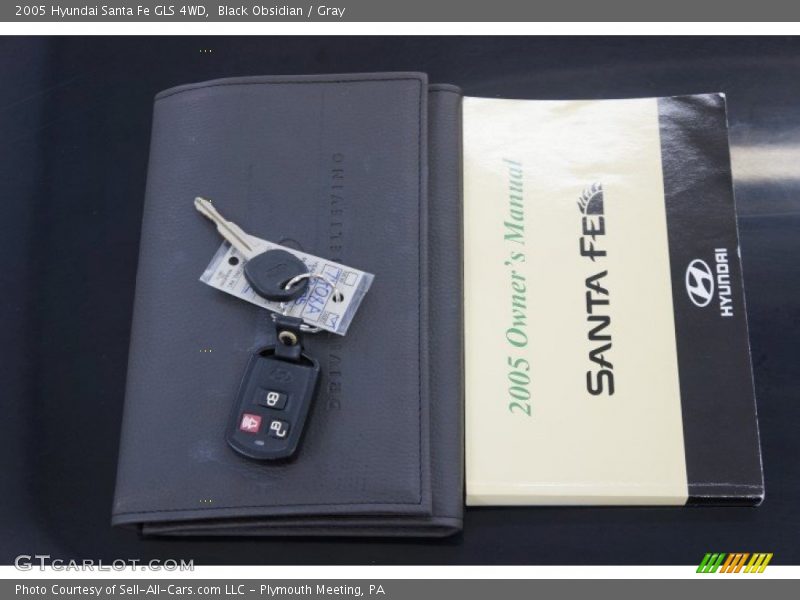 Black Obsidian / Gray 2005 Hyundai Santa Fe GLS 4WD
