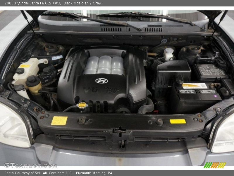 Black Obsidian / Gray 2005 Hyundai Santa Fe GLS 4WD