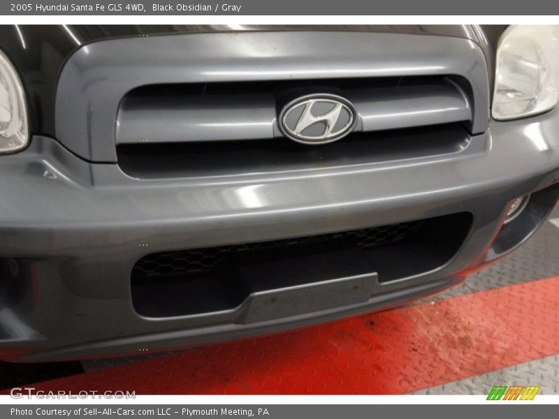 Black Obsidian / Gray 2005 Hyundai Santa Fe GLS 4WD