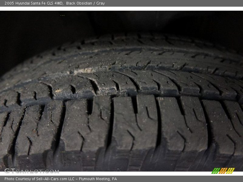 Black Obsidian / Gray 2005 Hyundai Santa Fe GLS 4WD