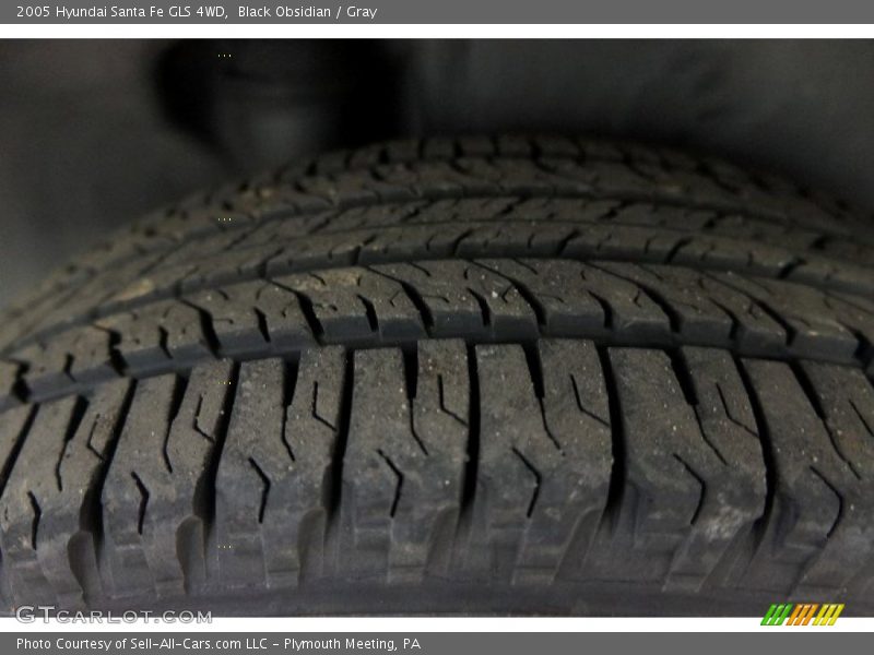 Black Obsidian / Gray 2005 Hyundai Santa Fe GLS 4WD