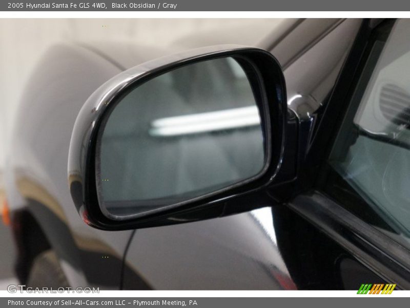 Black Obsidian / Gray 2005 Hyundai Santa Fe GLS 4WD