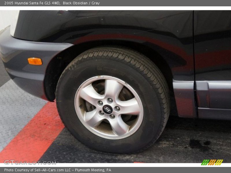 Black Obsidian / Gray 2005 Hyundai Santa Fe GLS 4WD