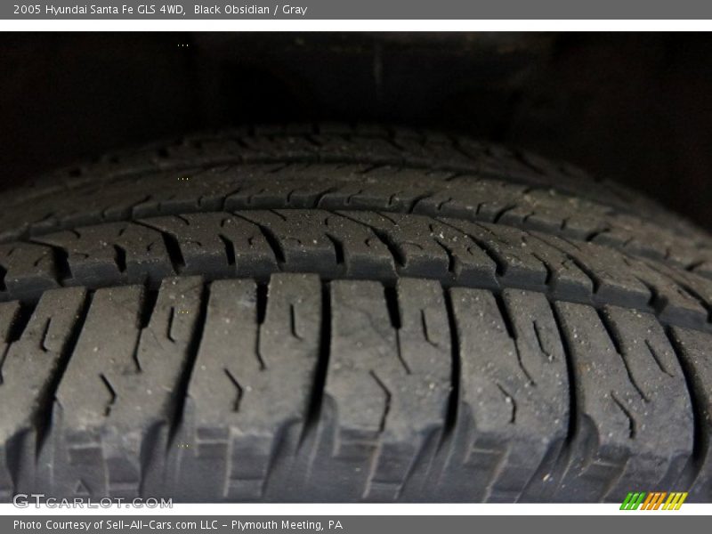 Black Obsidian / Gray 2005 Hyundai Santa Fe GLS 4WD