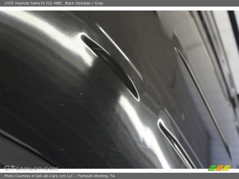 Black Obsidian / Gray 2005 Hyundai Santa Fe GLS 4WD