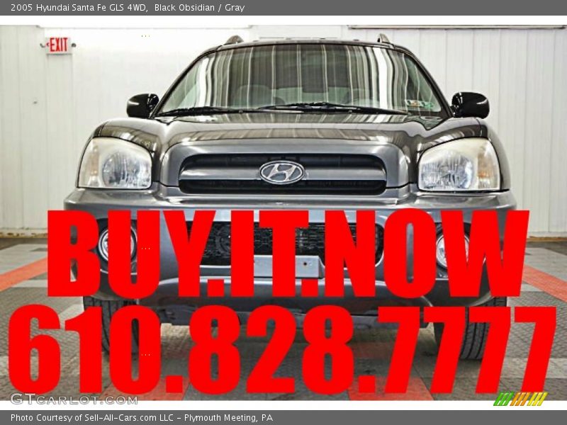 Black Obsidian / Gray 2005 Hyundai Santa Fe GLS 4WD