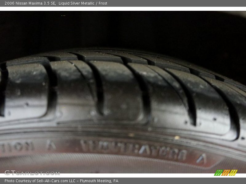 Liquid Silver Metallic / Frost 2006 Nissan Maxima 3.5 SE