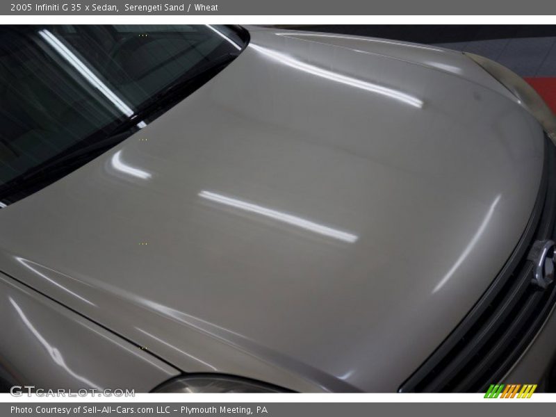 Serengeti Sand / Wheat 2005 Infiniti G 35 x Sedan